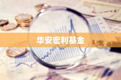 華安宏利基金投資管理 穩(wěn)健策略與長期價(jià)值的踐行者